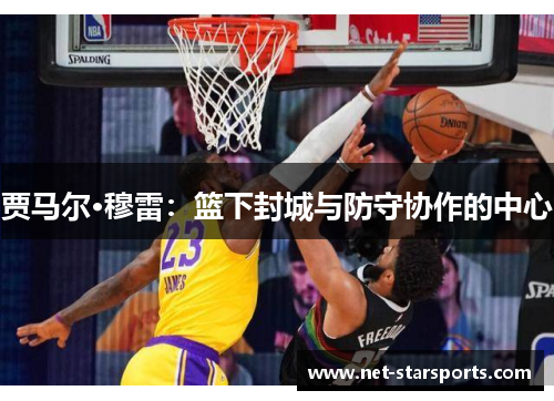 贾马尔·穆雷：篮下封城与防守协作的中心