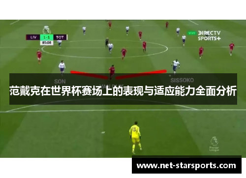 范戴克在世界杯赛场上的表现与适应能力全面分析