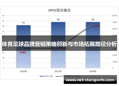 体育足球品牌营销策略创新与市场拓展路径分析